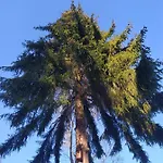 Villa Gierkowka - Gorska Pierwszego Sekretarza