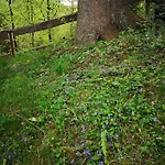 Villa Gierkowka - Gorska Pierwszego Sekretarza