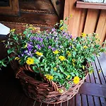 Gierkowka - Gorska Pierwszego Sekretarza