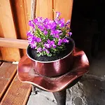 Gierkowka - Gorska Pierwszego Sekretarza *