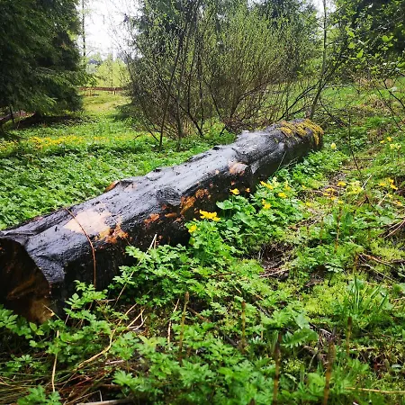 Вилла Gierkowka - Gorska Pierwszego Sekretarza *