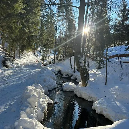 Gierkowka - Gorska Pierwszego Sekretarza Zwardoń