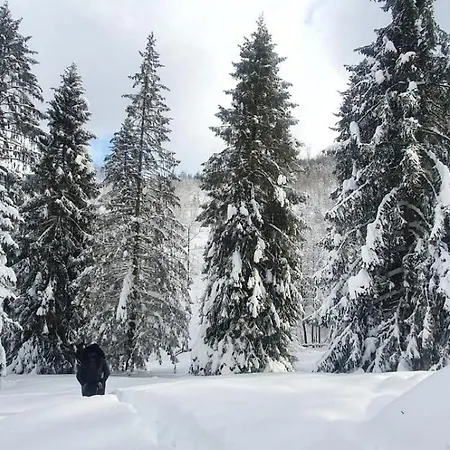 Gierkowka - Gorska Pierwszego Sekretarza *