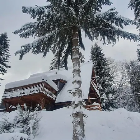 Gierkowka - Gorska Pierwszego Sekretarza Villa Zwardoń