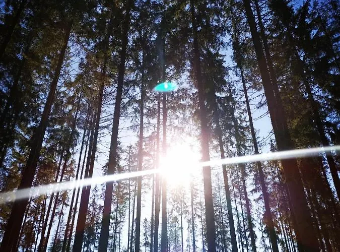 Willa Gierkówka - Górska Pierwszego Sekretarza *