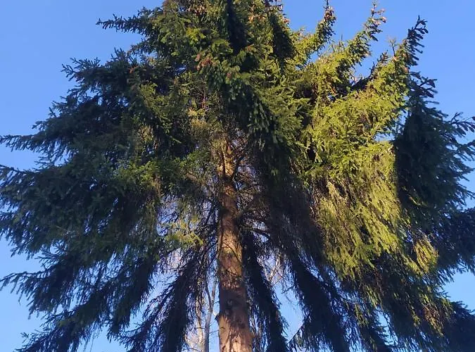 Βίλα Gierkowka - Gorska Pierwszego Sekretarza