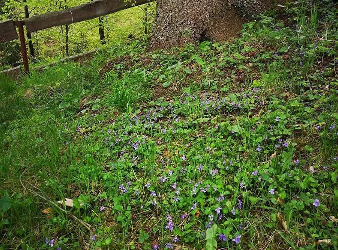 Βίλα Gierkowka - Gorska Pierwszego Sekretarza