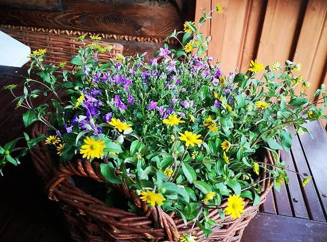 Gierkowka - Gorska Pierwszego Sekretarza