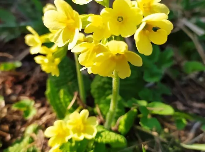 Willa Gierkówka - Górska Pierwszego Sekretarza