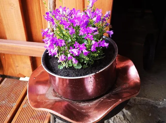 Gierkówka - Górska Pierwszego Sekretarza *