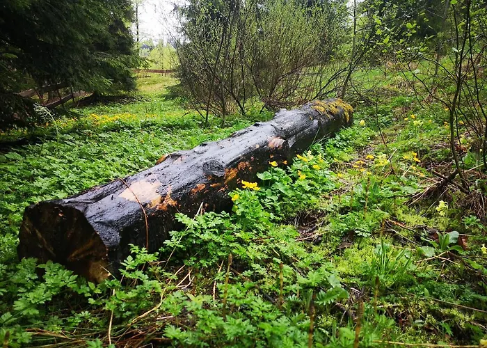 Villa Gierkowka - Gorska Pierwszego Sekretarza *