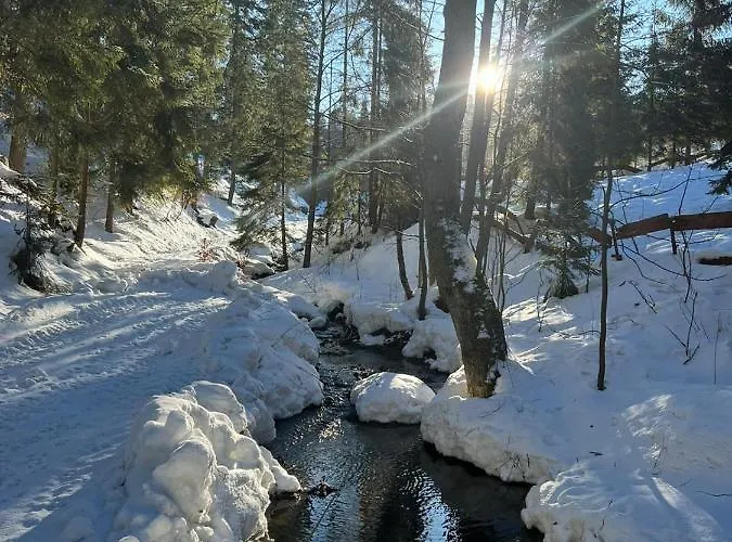 Gierkowka - Gorska Pierwszego Sekretarza Zwardoń