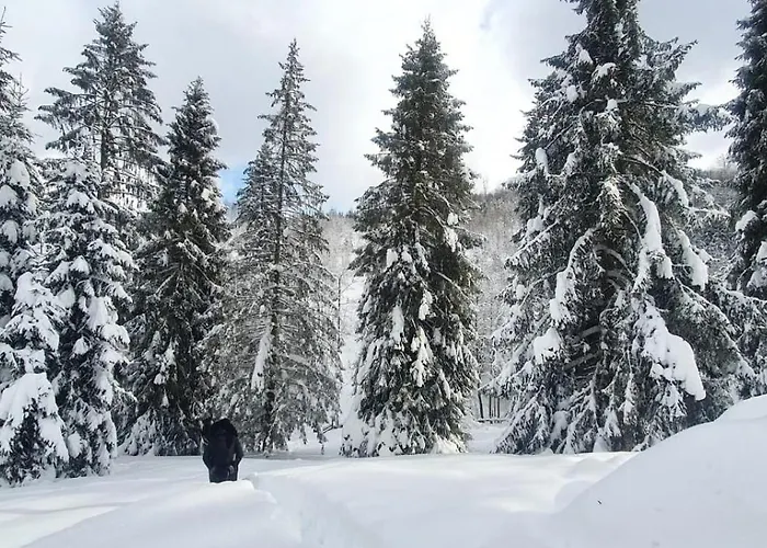 Gierkowka - Gorska Pierwszego Sekretarza *