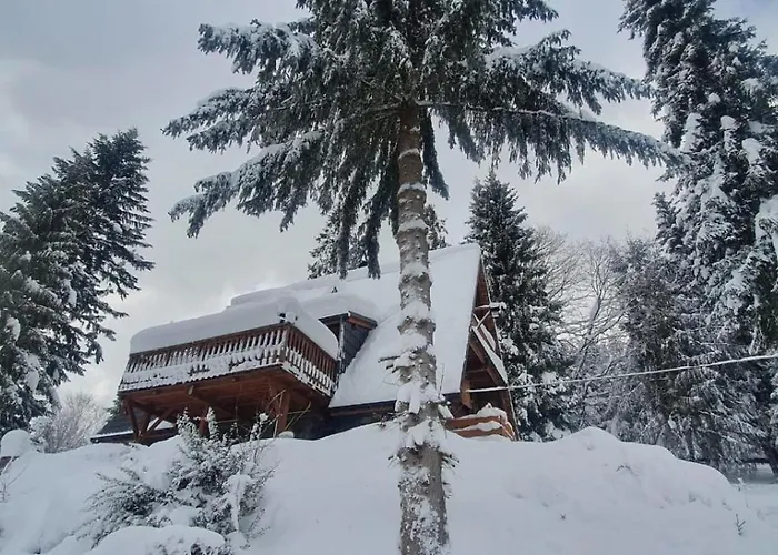 Gierkowka - Gorska Pierwszego Sekretarza Villa Zwardoń